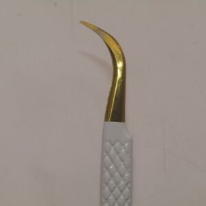 strong curve 2